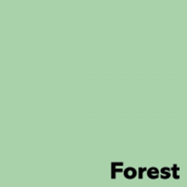 Image A4/80g Forest/Pastel Green
