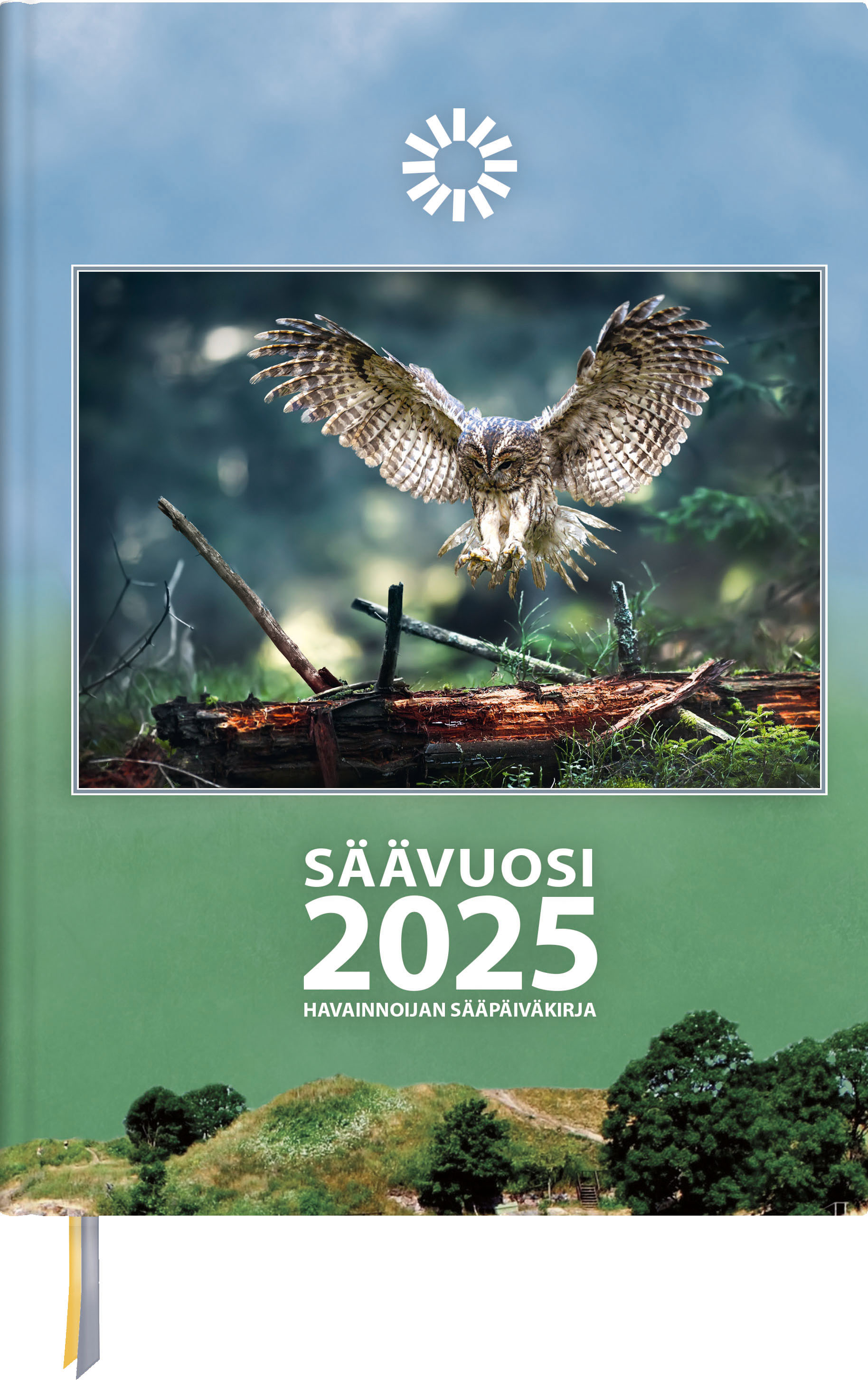 Säävuosi 2025